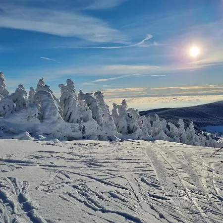 Gasthof Bouda Na Strani 3*